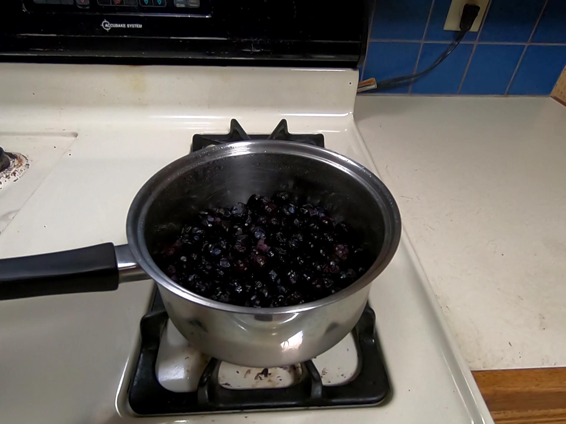 Blue Berries in pot