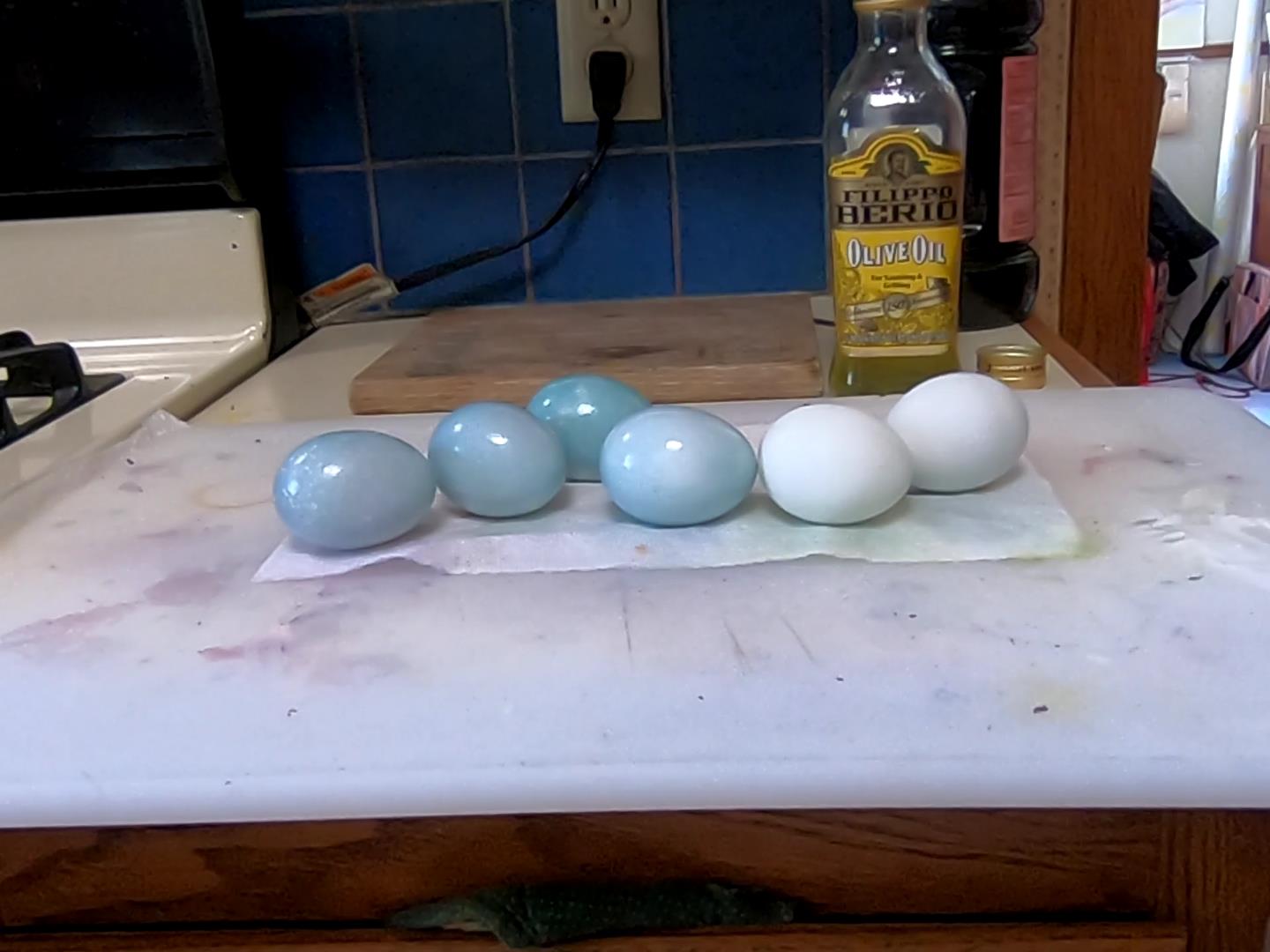 colored eggs with light oil coating